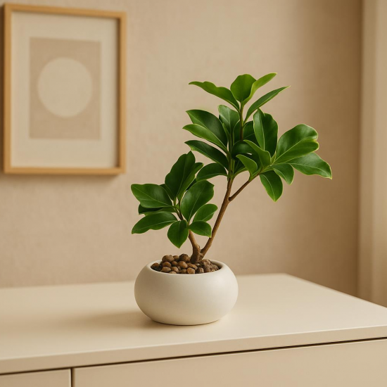 Artificial Plant